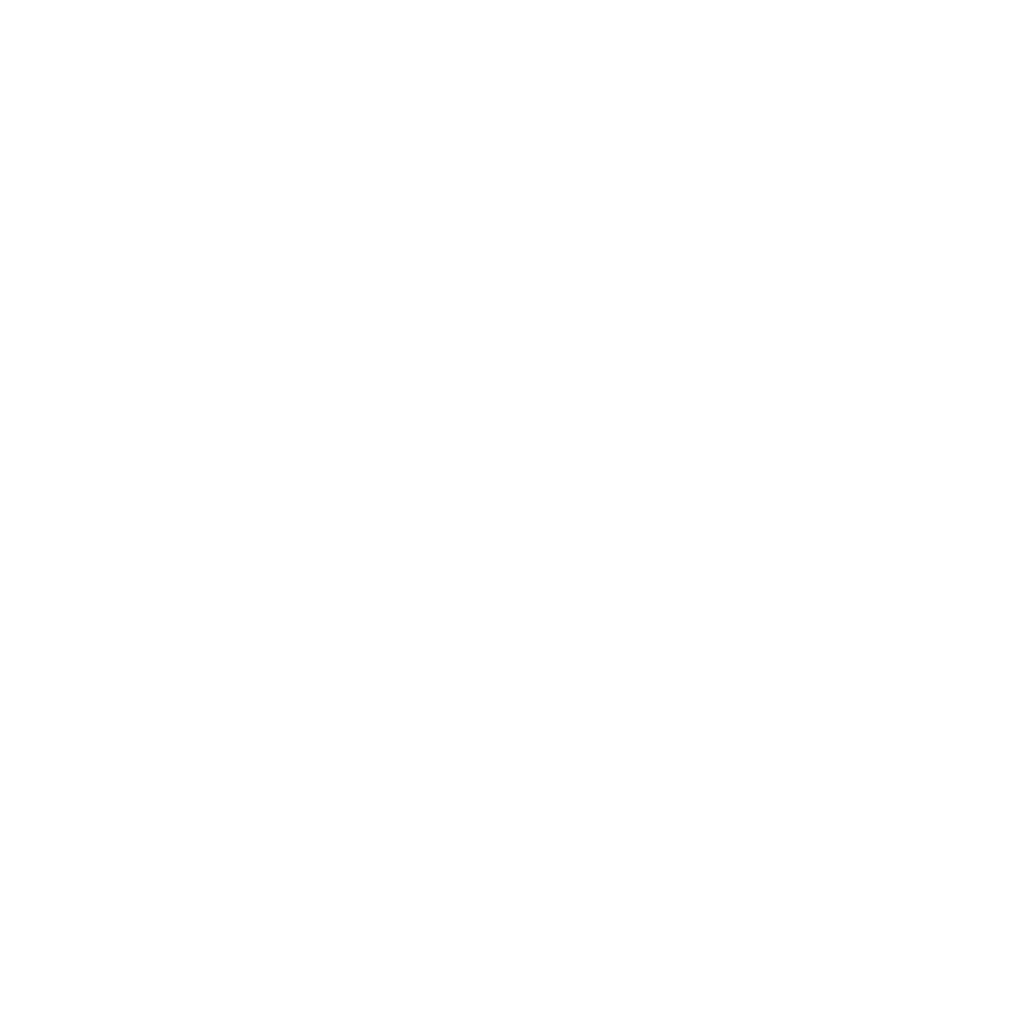THE ICON LEAGUE